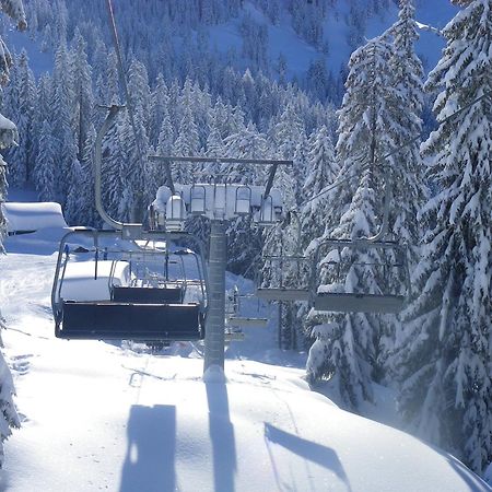 Haus Auni Metzgermeister Westendorf Esterno foto
