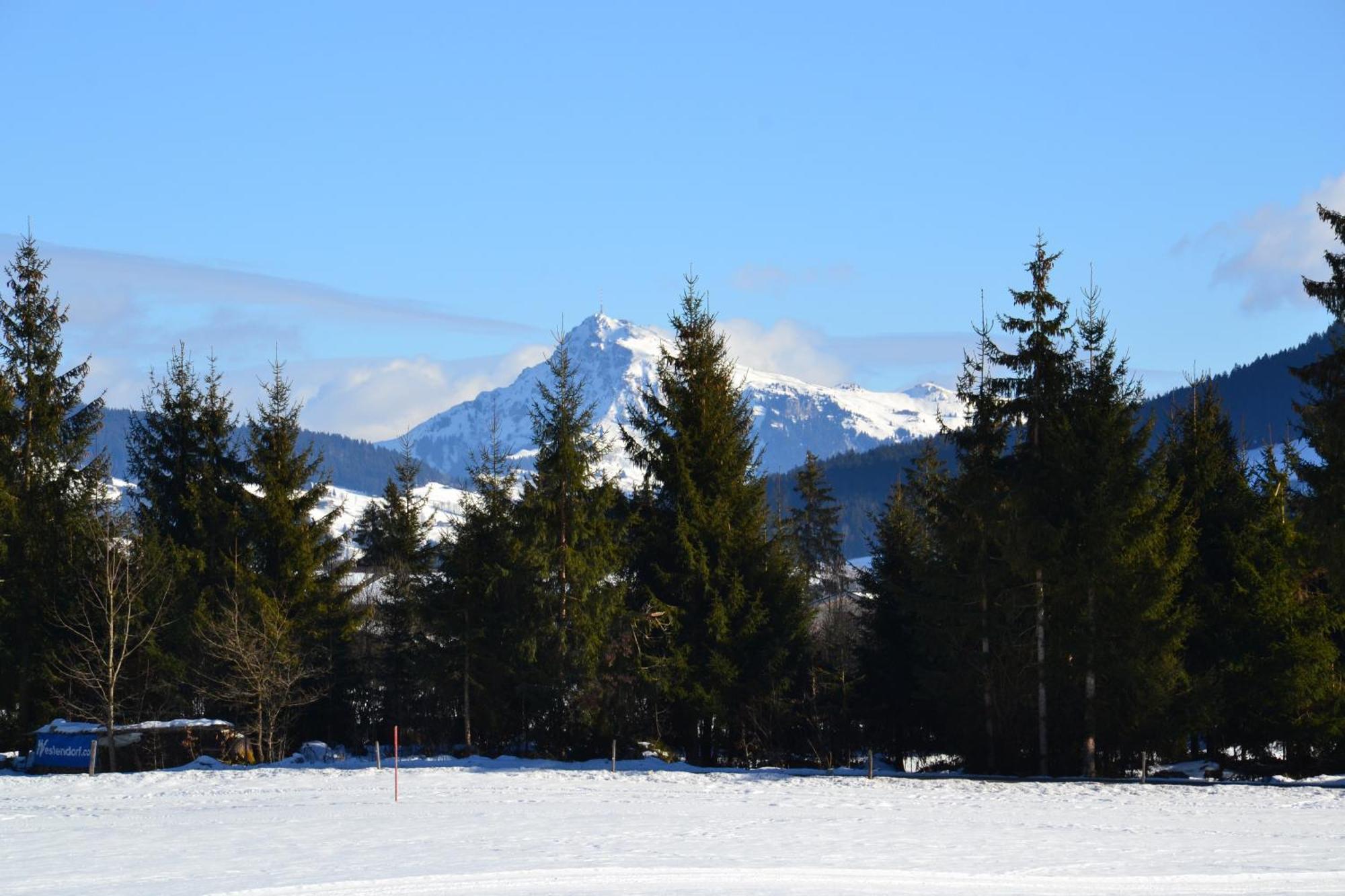 Haus Auni Metzgermeister Westendorf Esterno foto